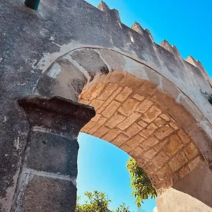Tiche Cefalu